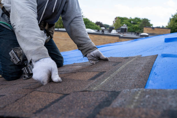 Best Roof Leak Repair  in Blue Ridge, VA
